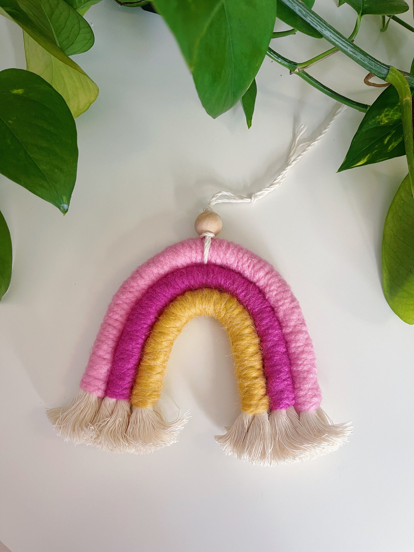 Riley Rainbow Macrame Wall Hanging