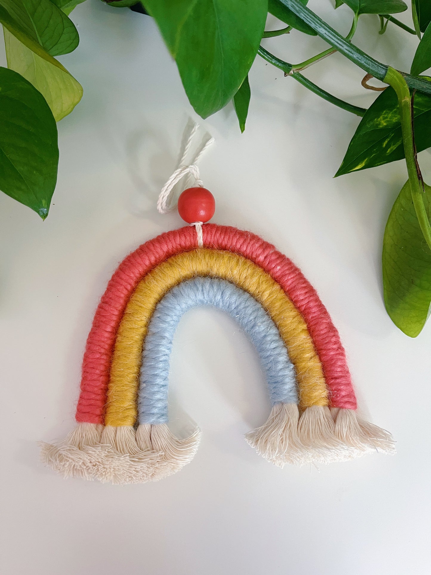 Lilly Rainbow Macrame Wall Hanging